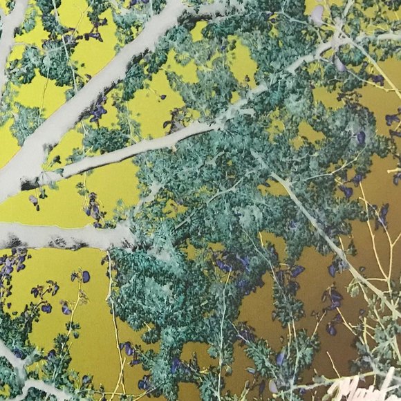 Authentic Matthew Lew, Ltd Ed. 4 piece art installation: "Through the Trees" - Picture 2 of 8